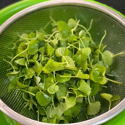 Bước 1