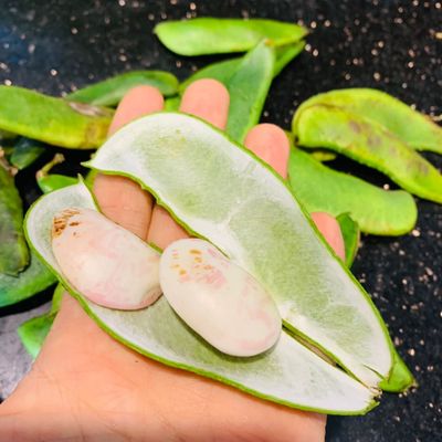 Bước 1