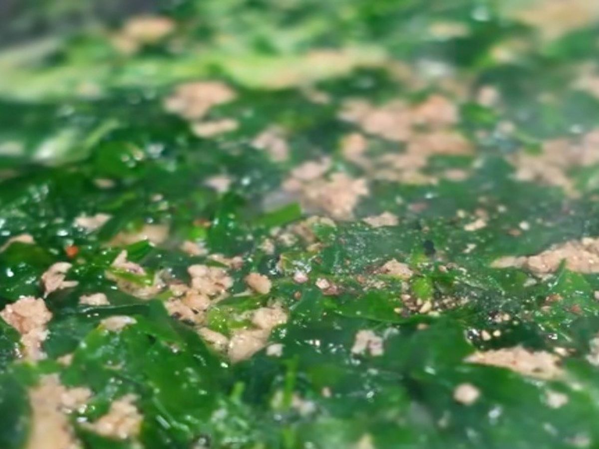 Canh rau dền + mùng tơi