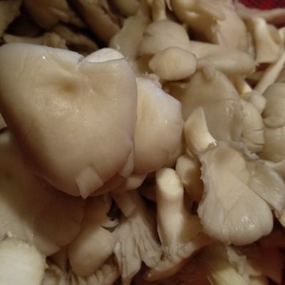 Bước 1