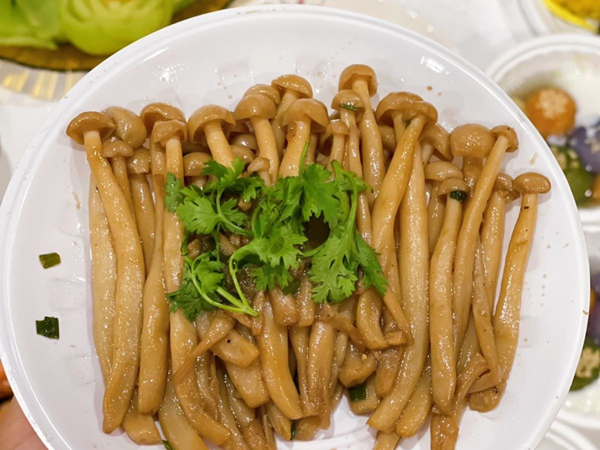 Nấm bạch tuyết xào nước tương