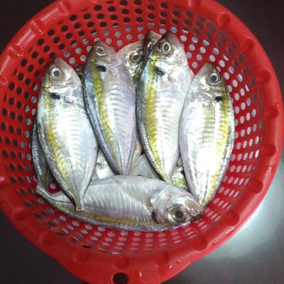 Bước 1