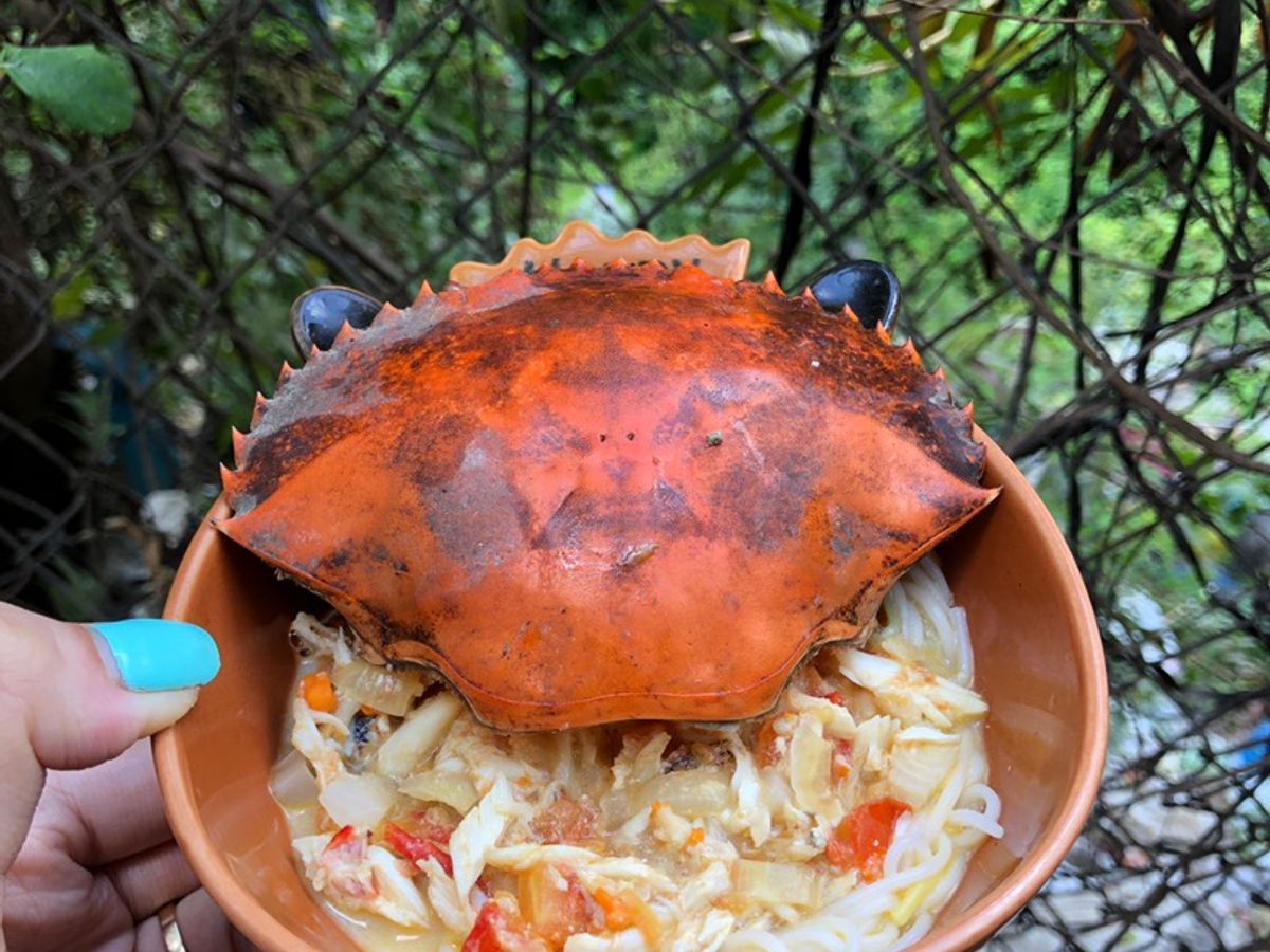 Mỳ cua em bé