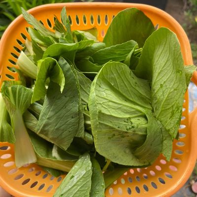 Bước 1