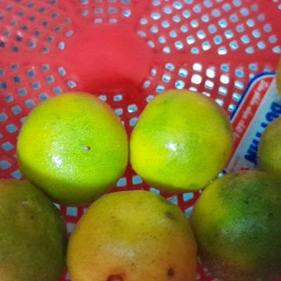 Bước 2