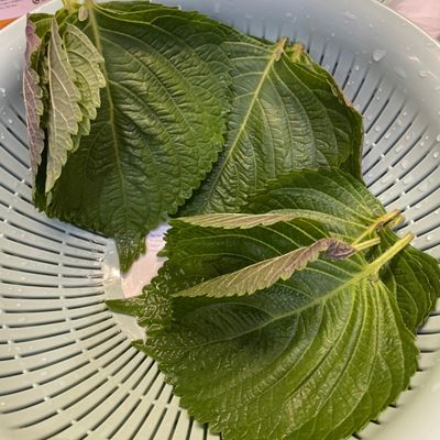Bước 1