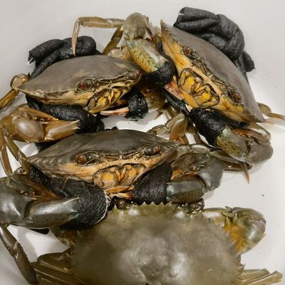 Bước 1