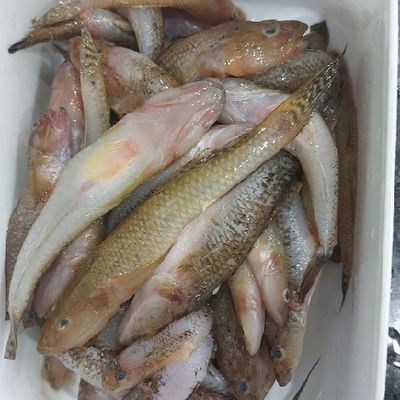 Bước 1
