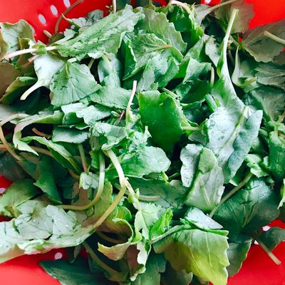 Bước 1