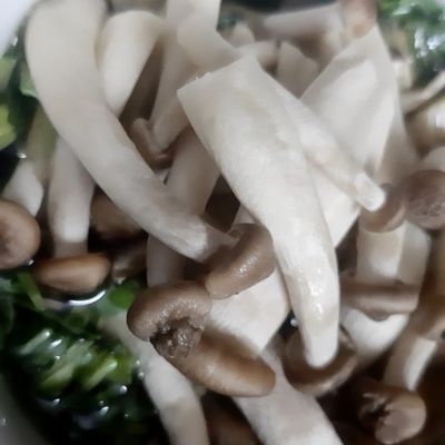 Bước 1