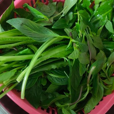 Bước 5