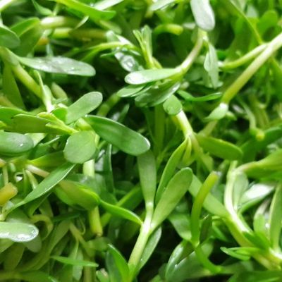 Bước 1