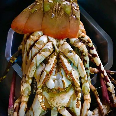 Bước 1