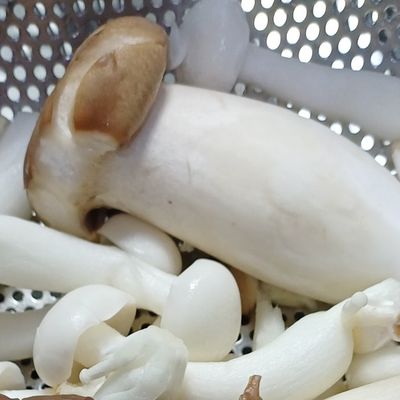 Bước 1