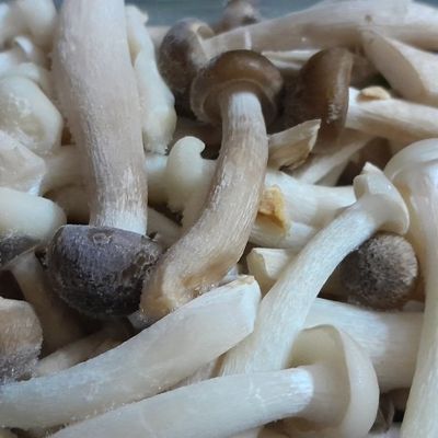 Bước 2