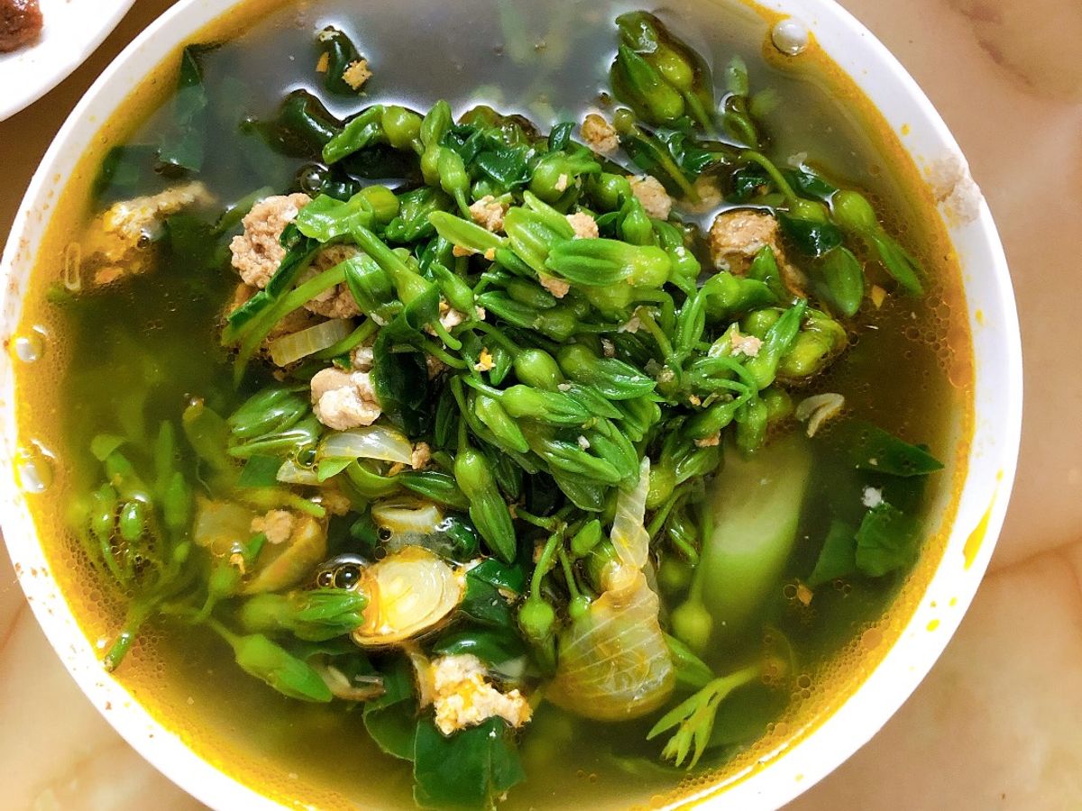 Canh cua hoa thiên lý