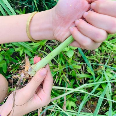 Bước 3