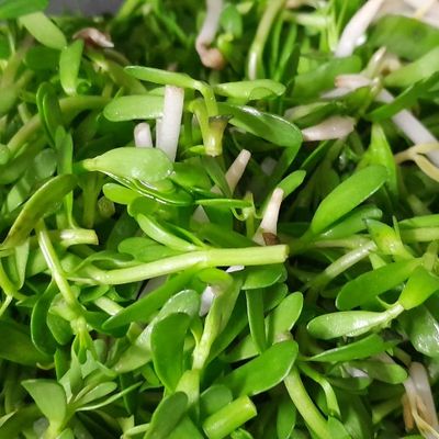 Bước 1