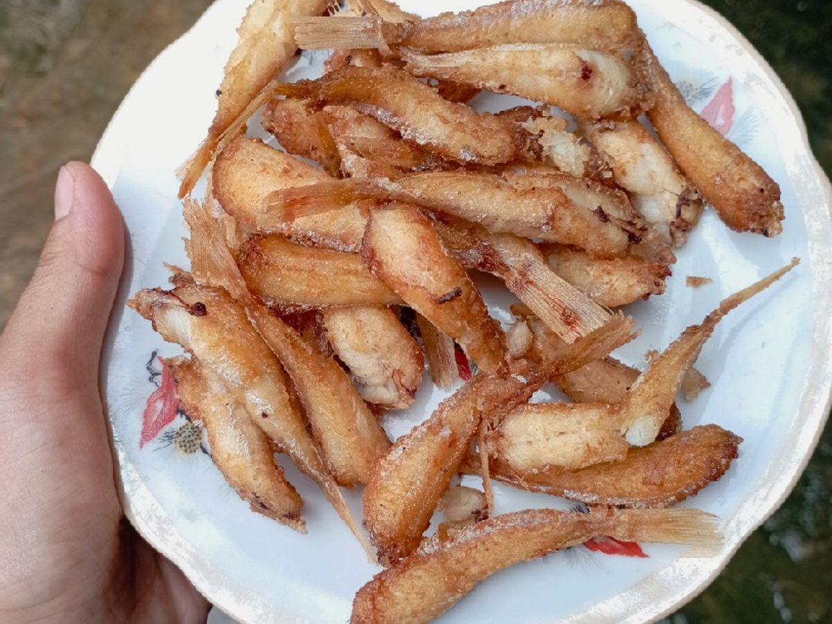 Cá đùi gà chiên giòn