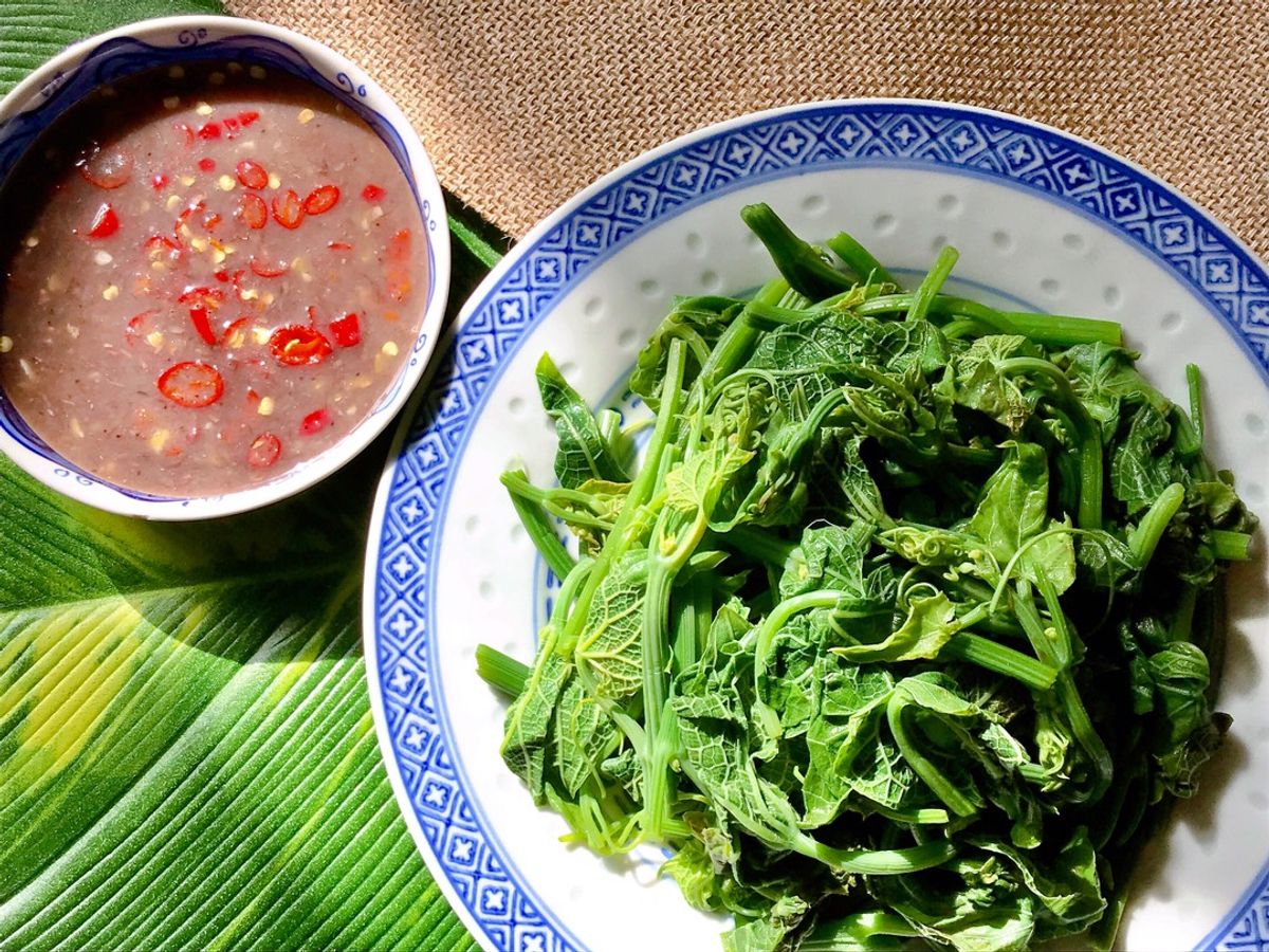 Đọt Su Su Luộc Chấm Mắm Tôm