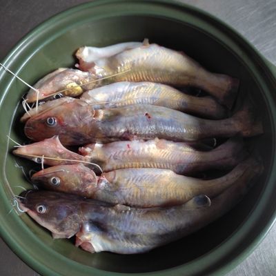 Bước 1