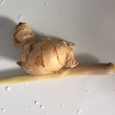 Bước 1