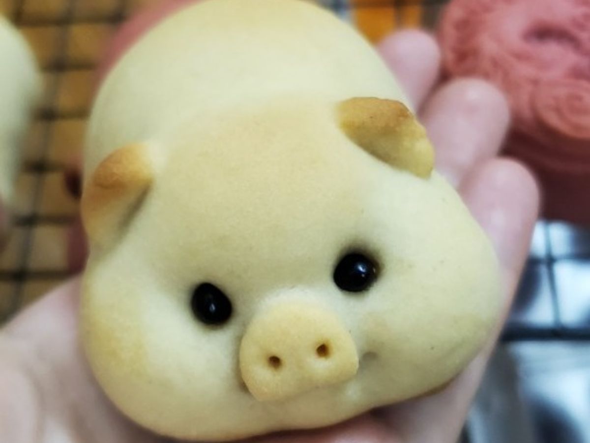 Bánh nướng heo mập