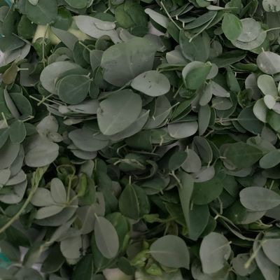 Bước 1
