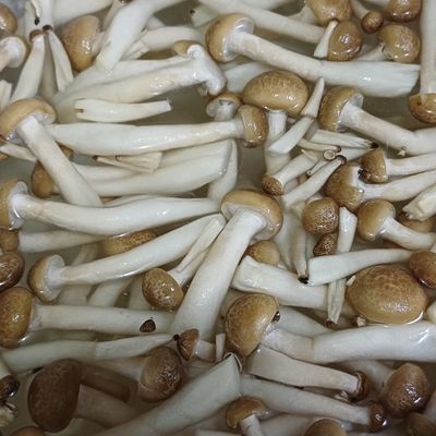 Bước 1