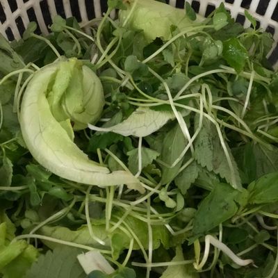 Bước 2