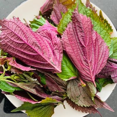 Bước 1