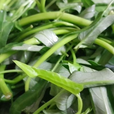 Bước 1