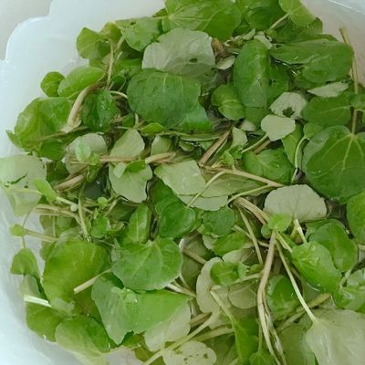 Bước 1